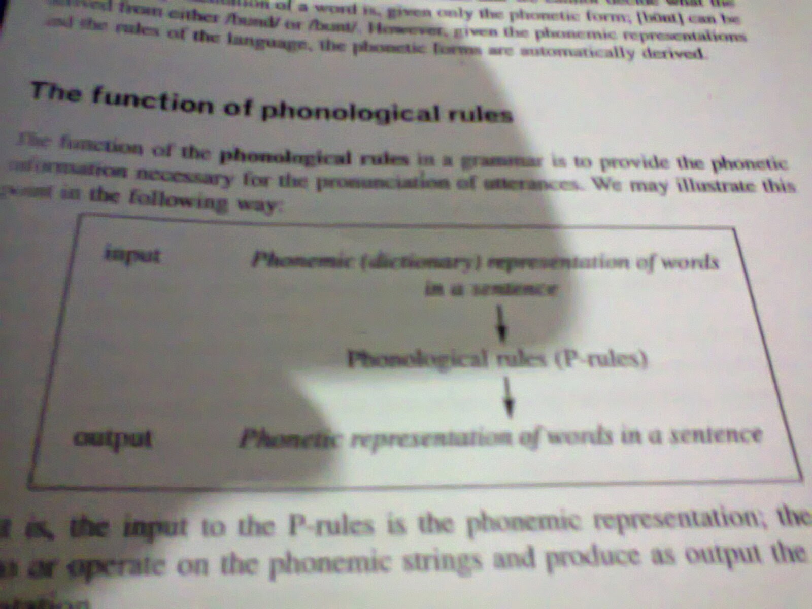 the function of phonological rules phonological rules