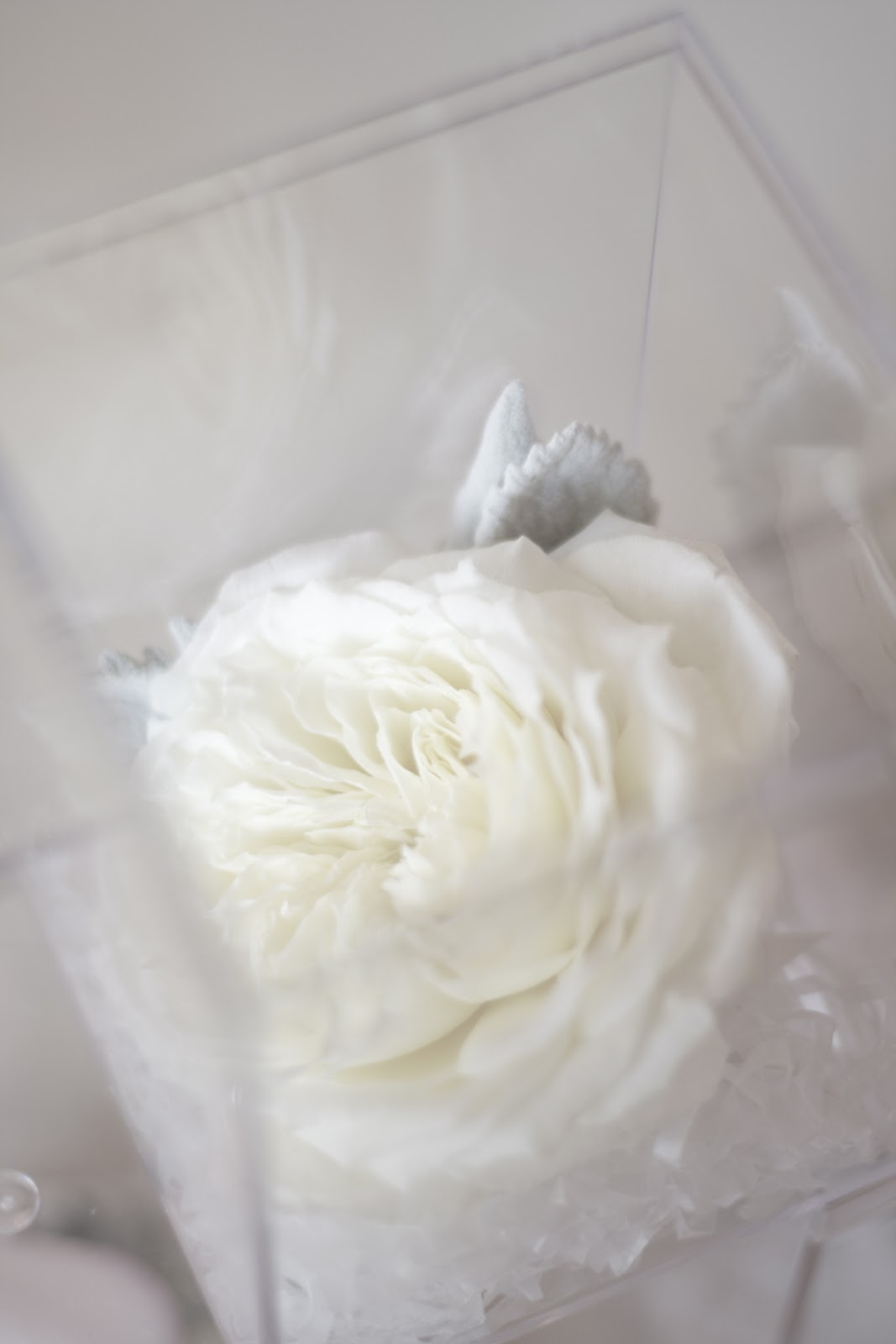 Weddings A Blush Oceanside Affair Craft and Couture