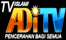 ADI TV