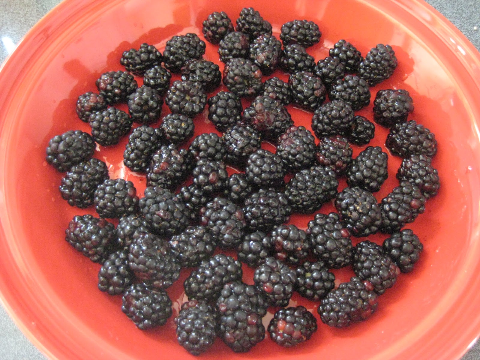 Holly Goes Lightly Blackberry Dutch Baby