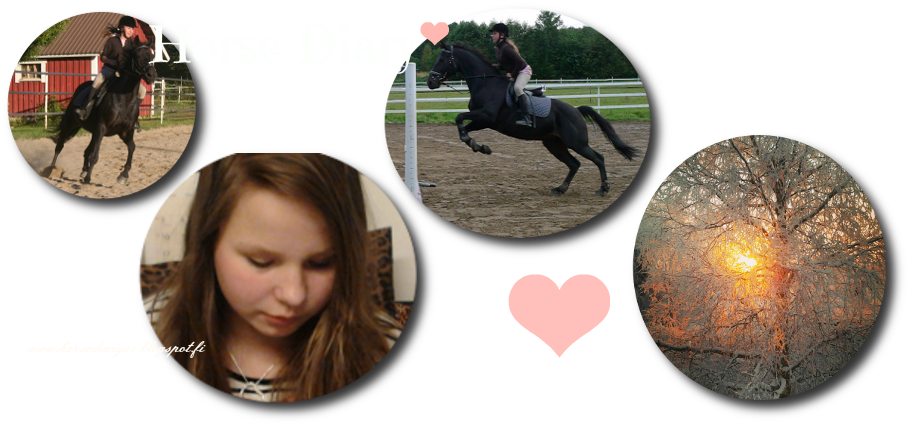 Horse Diary ;))