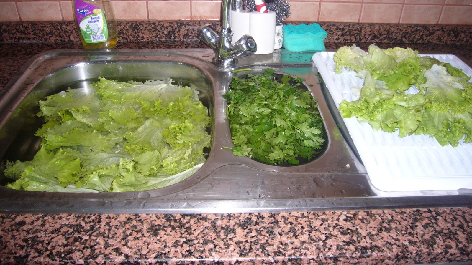 RANANIN ANNESi Mart 2013