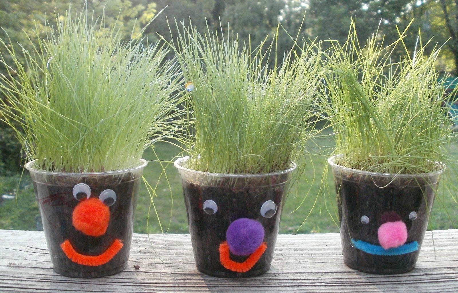 Little Stars Learning Seeds, Seeds, Seeds! Book Activity 5 Grass Heads