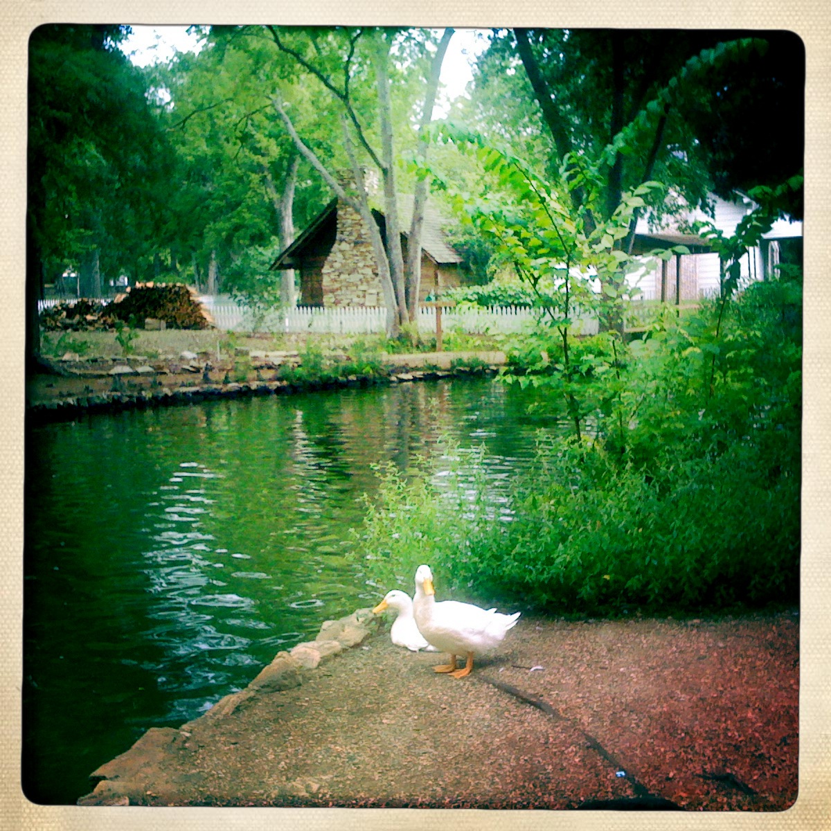 The Duck Pond in Huntsville, Texas