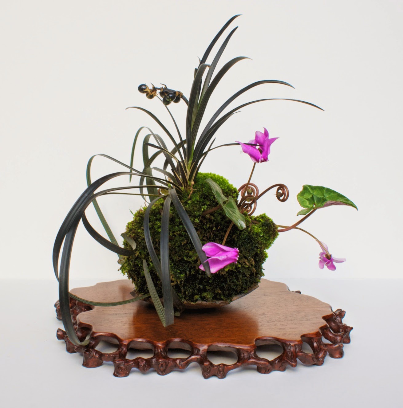 Bespoke Bonsai Stands Kokedama display on Mahogany ne taku