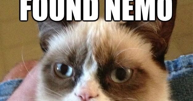 Grumpy Cat: Nemo