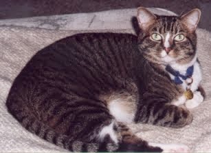 Snickers (1996-2010)