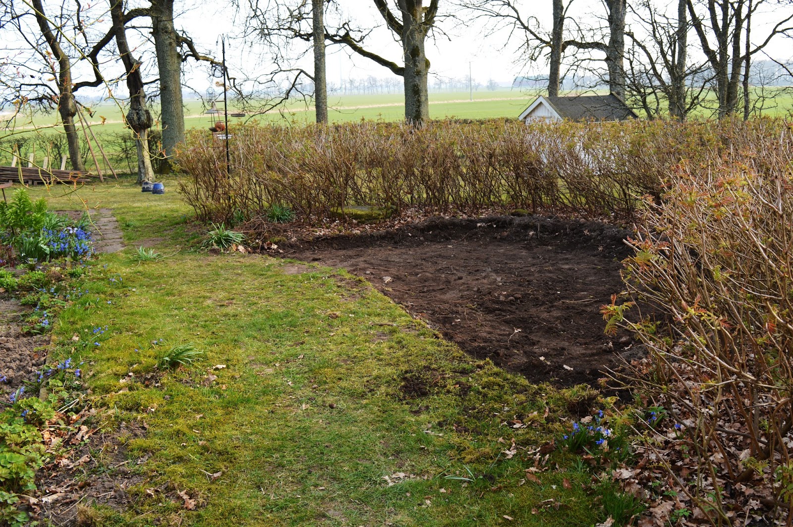 Under eken: uteplats no: 2
