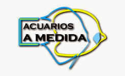 Acuarios A Medida