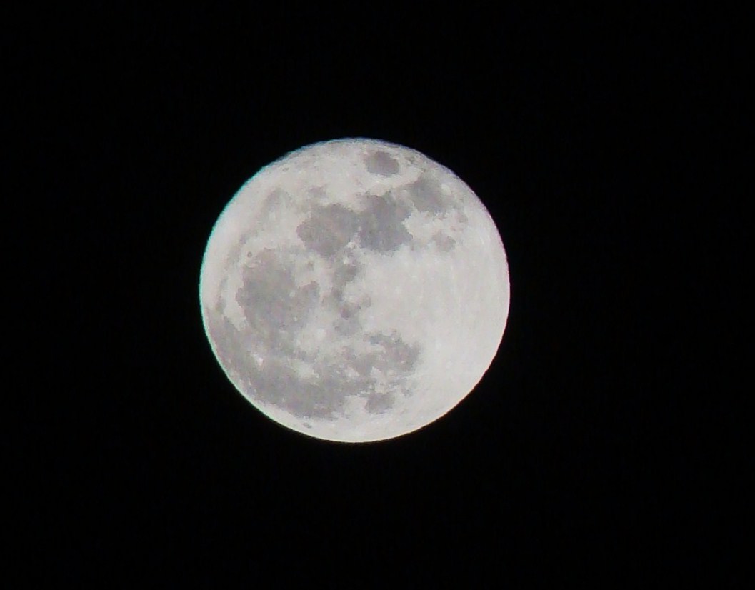 a bright moon