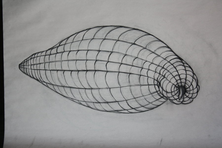 Contour Line Drawing Tutorial : Um drawing tutorials