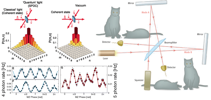 Resultado de imagen de El gato vivo o muerto de Schrödinger