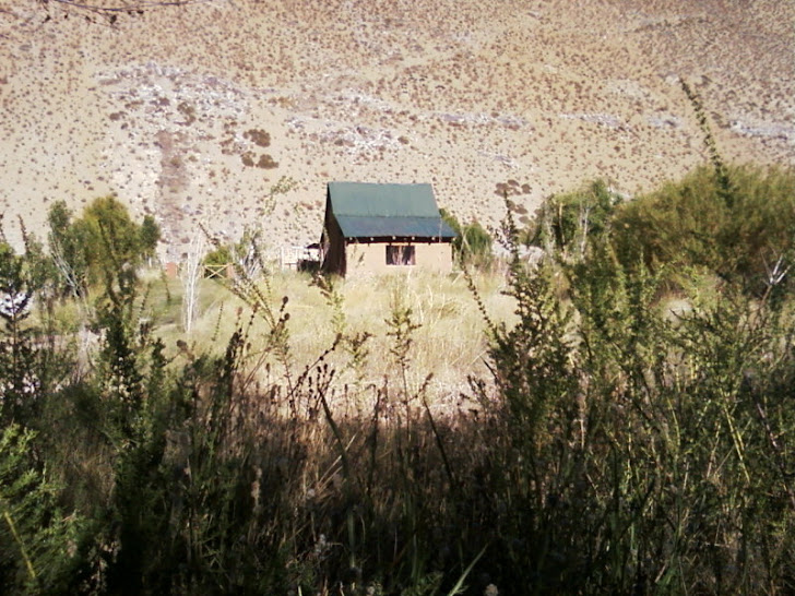 Praderas, Cordilleranas de Alcohuaz,