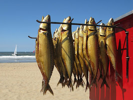 Makrelen roken op het strand