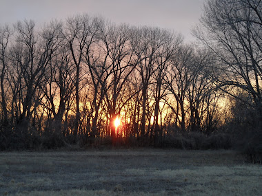 Winter Sunrise