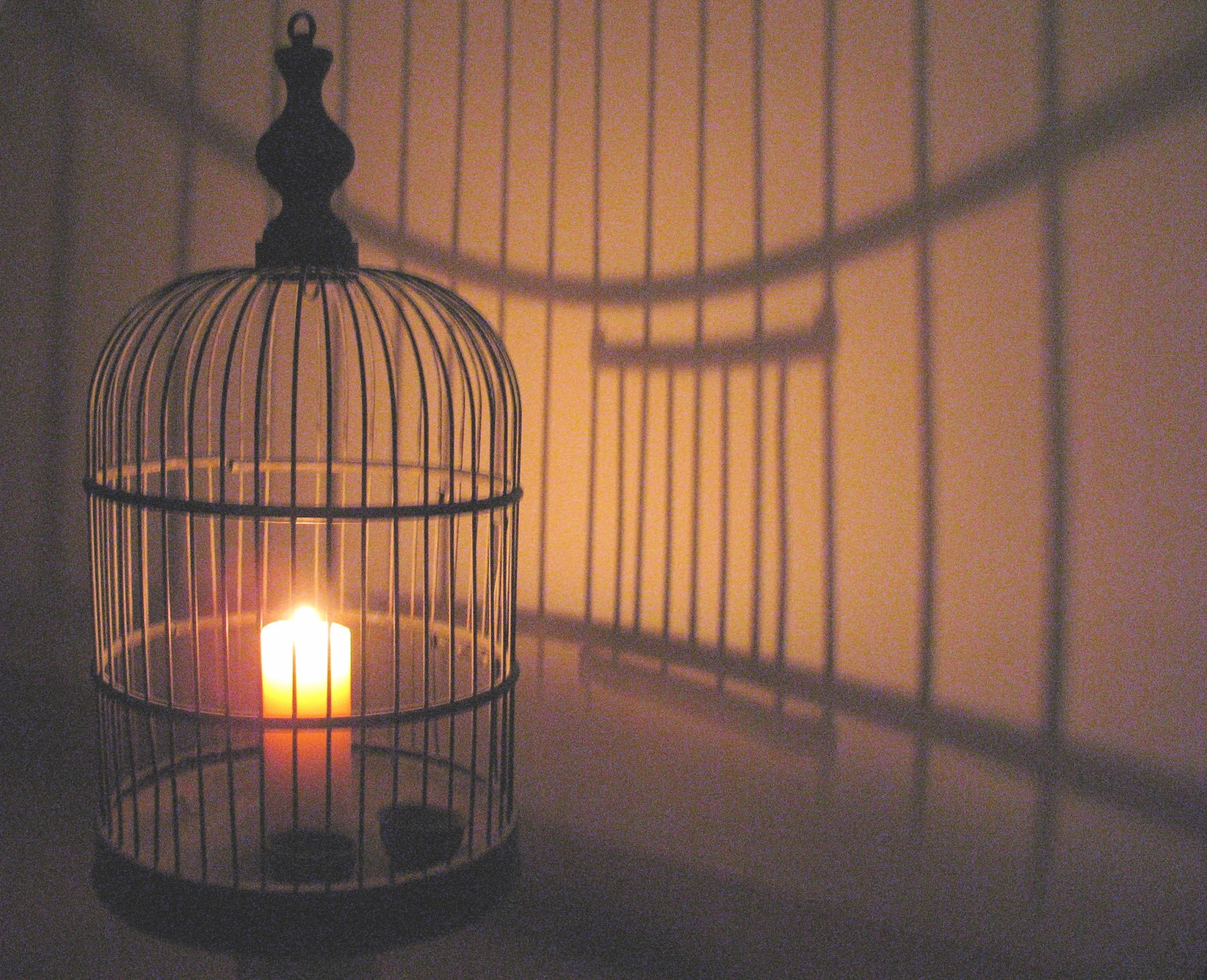 beneath the surface on accepting the weight of an empty bird cage
