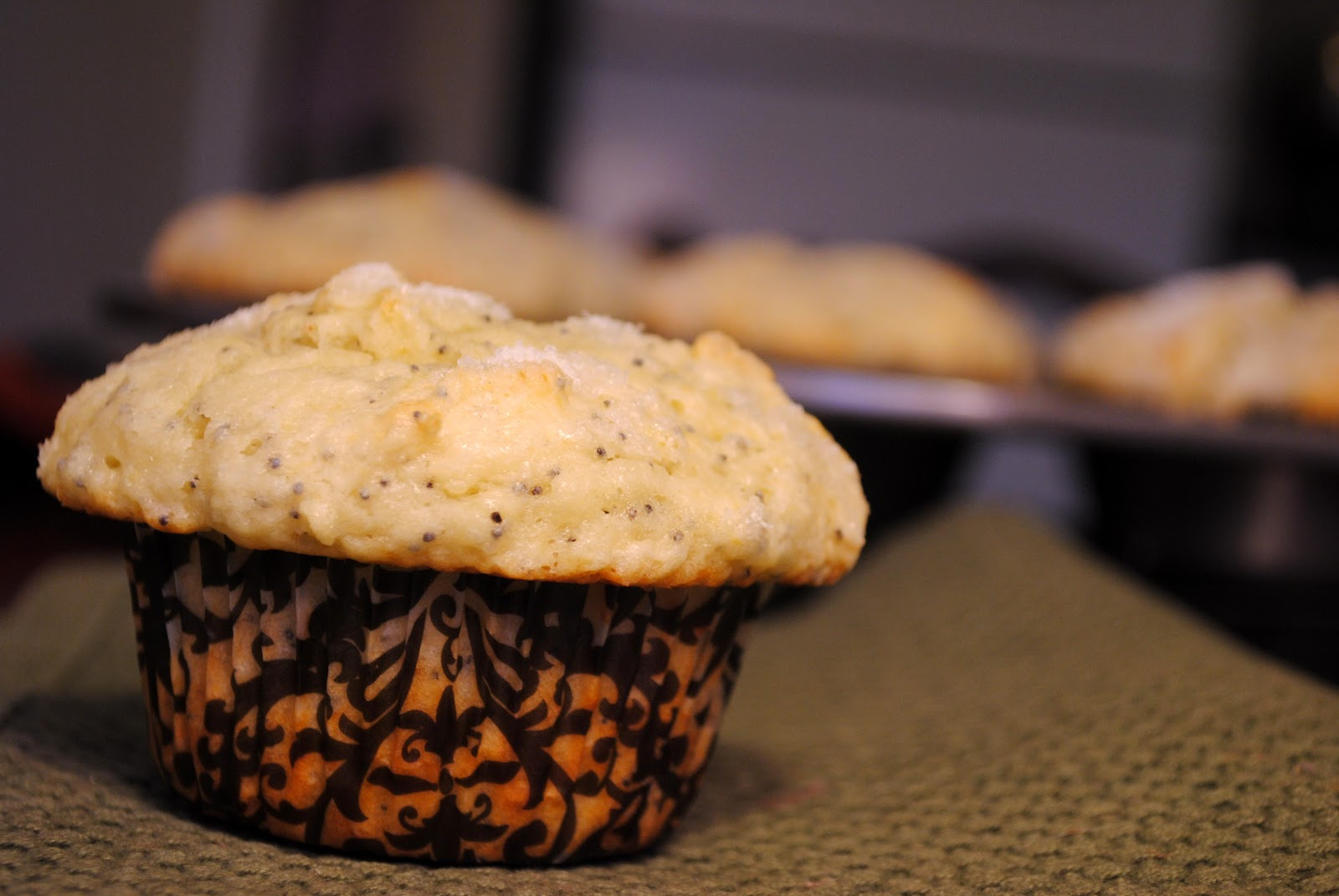 Nancy Bakes Lemon Poppy Seed Muffins