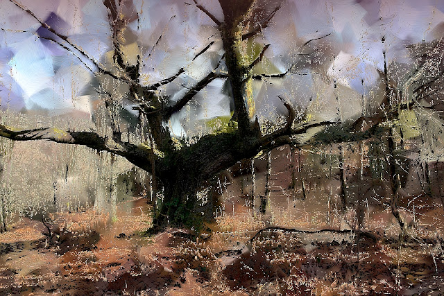 foto pinturas de árboles centenarios por munimara