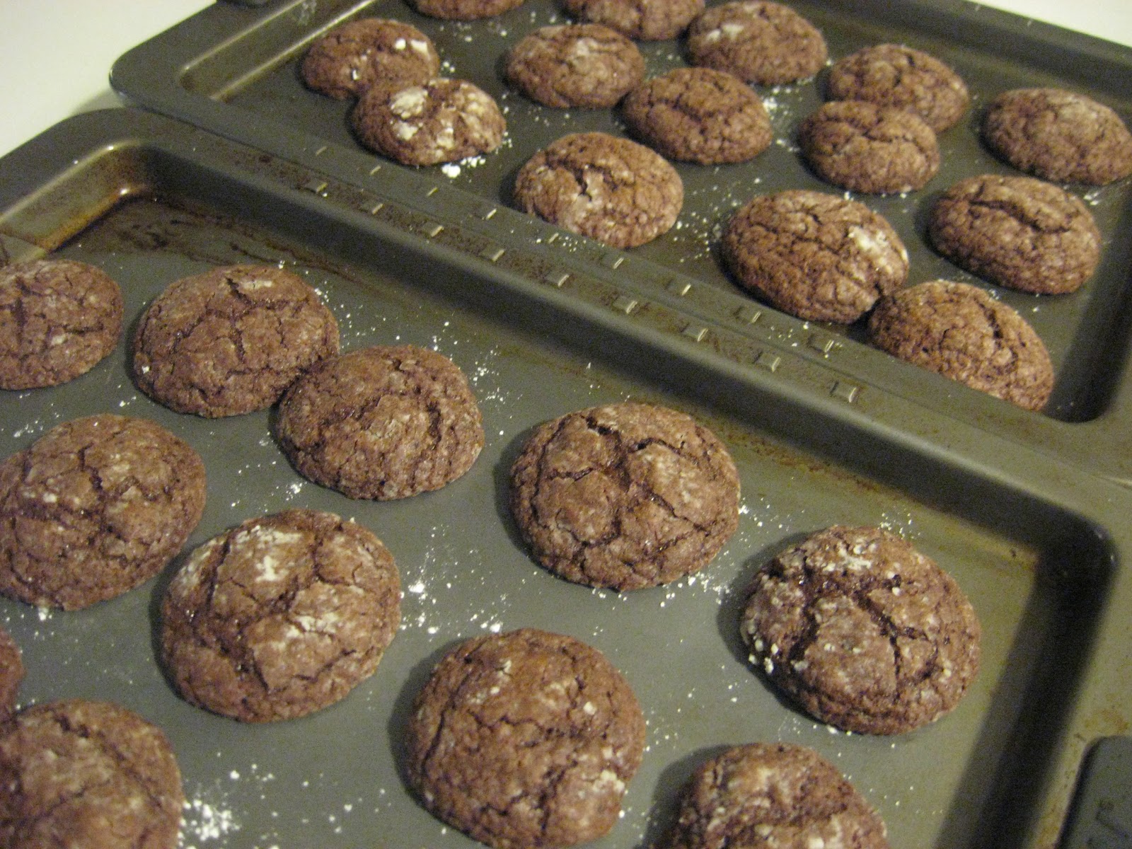 PinsterSisters Paula Deen Chocolate Gooey Butter Cookies