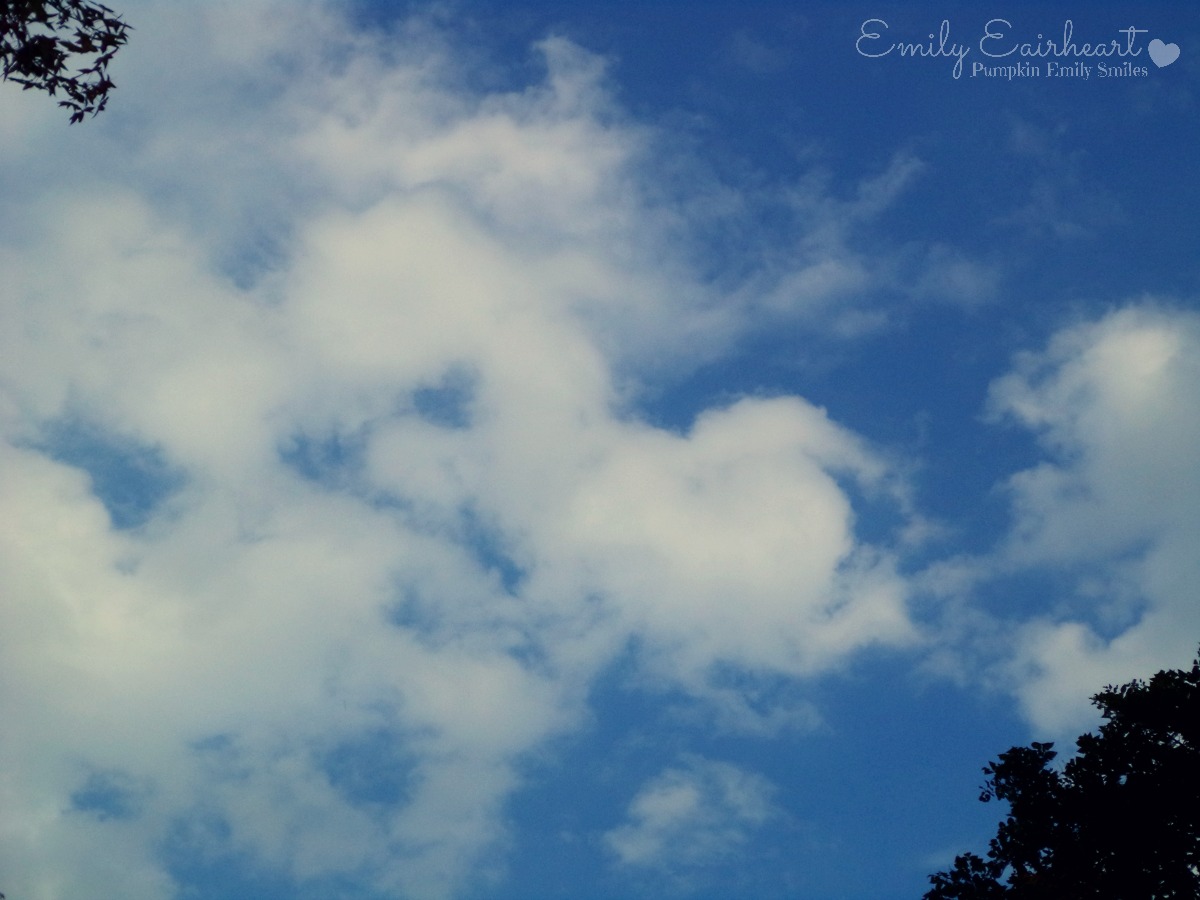 Cloud that looks like a scorpion.