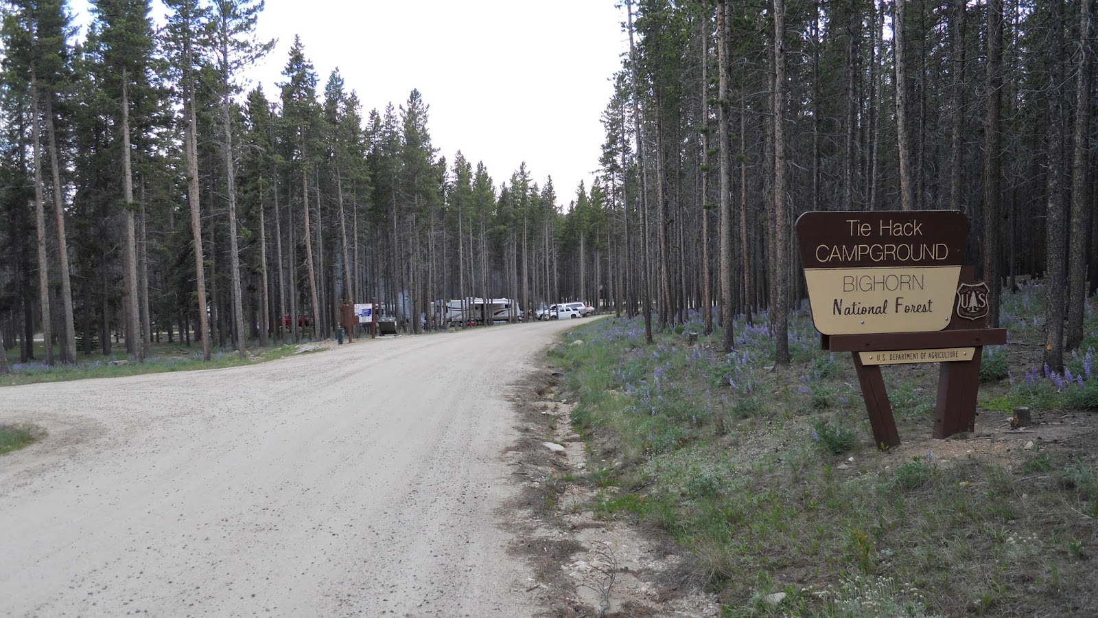 National Forest Camper July 2010