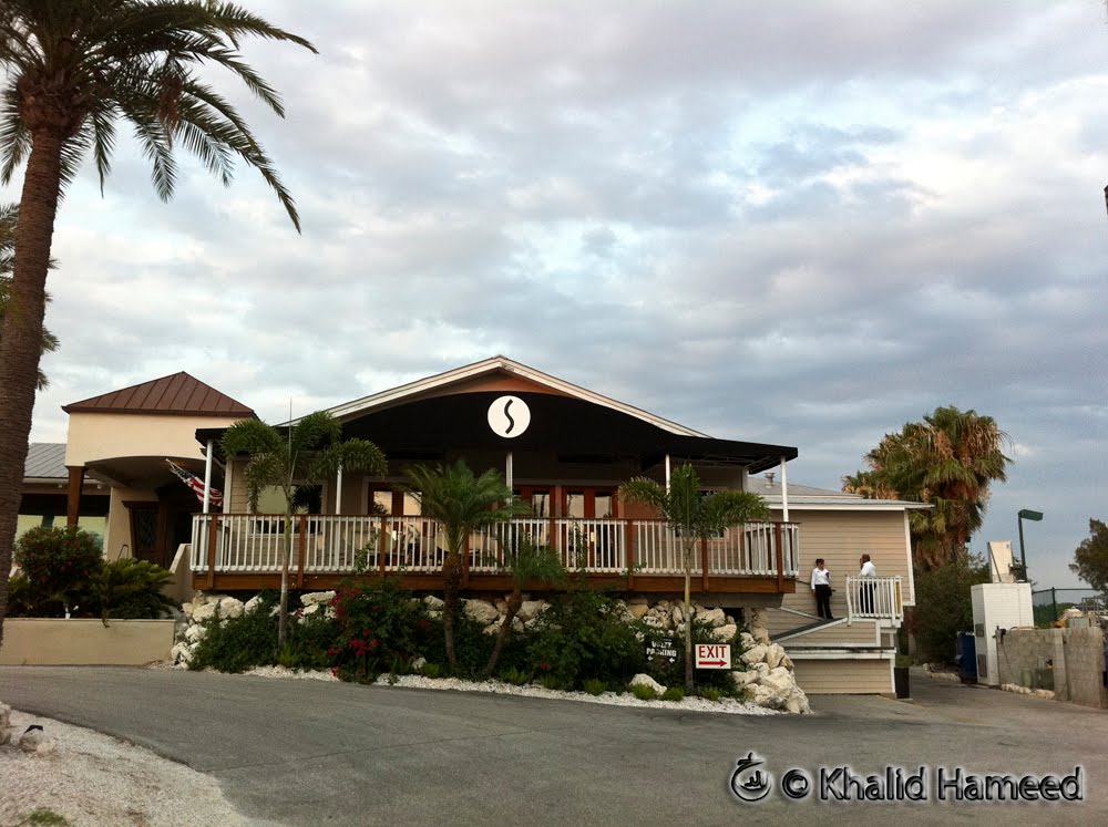 Scallywag Journeys Tampa Bay and Beyond Salt Rock GrillIndian