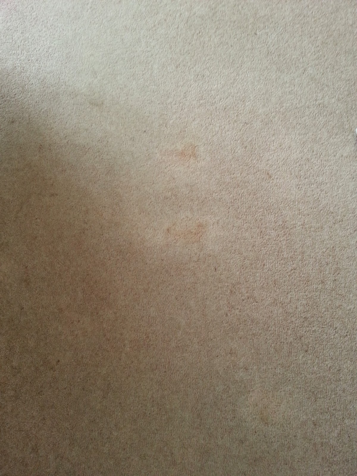 bleach on carpet, carpet cleaners cambridge uk http://www.artofclean.co.uk/carpet-cleaning/