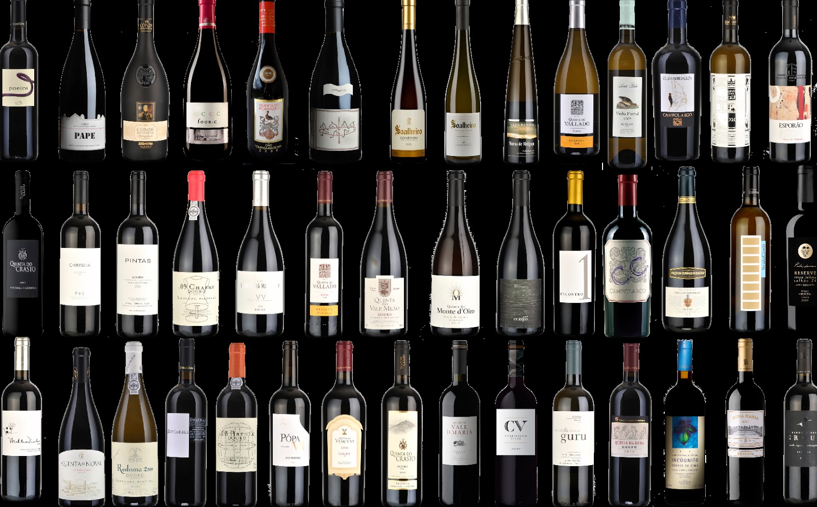 Portuguese Wine Consultant