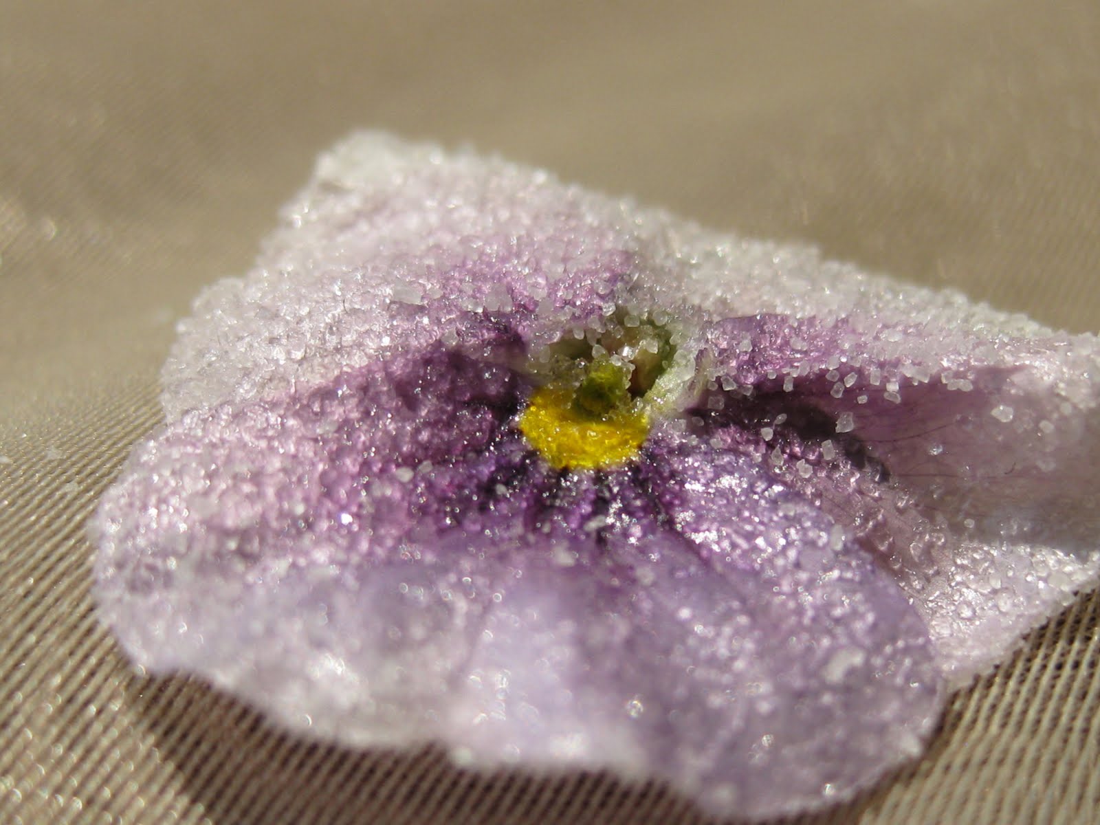How to Crystallize Flowers images How to Crystallize Flowers picture