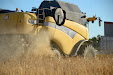 New Holland CX8060 Combine