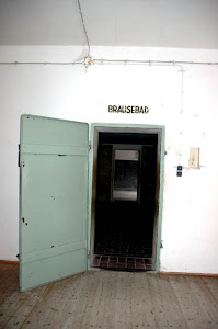 Gas Chamber Door