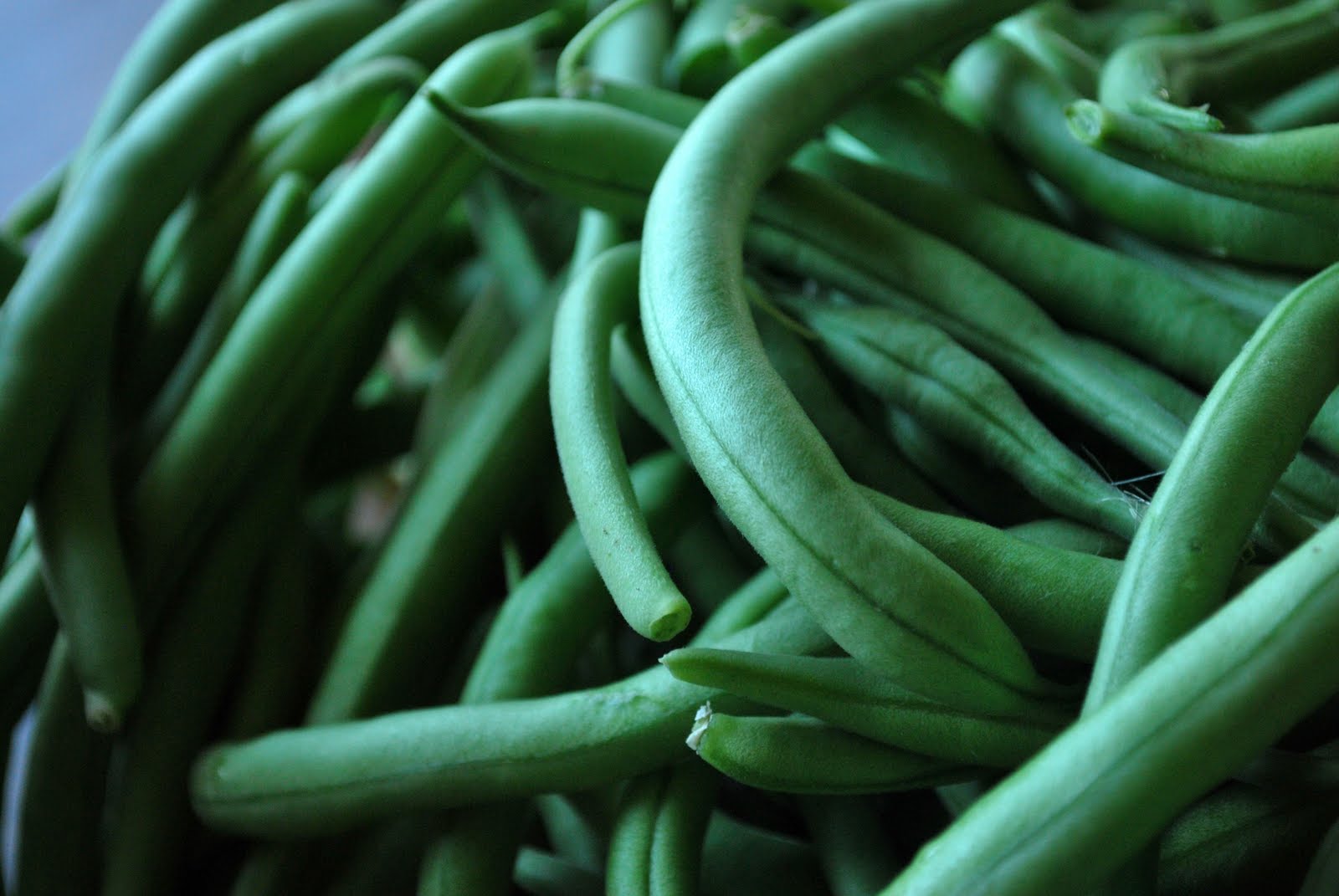 Larissa Another Day Beans, Beans, the Magical Fruit...