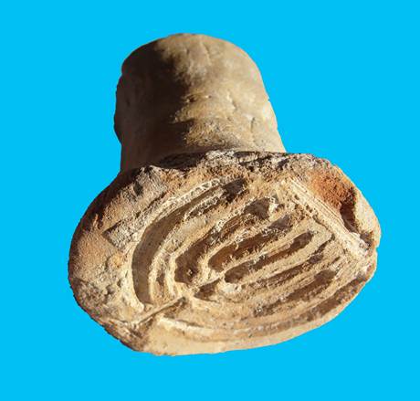 Na Turquia, arqueólogos acreditam ter encontrado evidências do Cavalo de  Troia