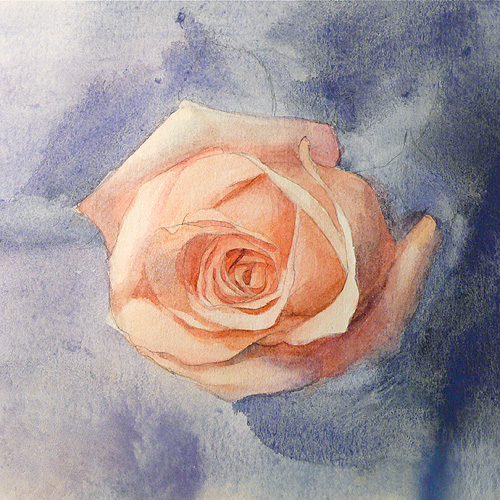 Painting Basics Watercolor Demo A Pink Rose