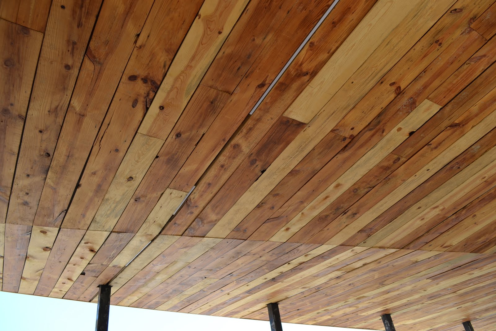 Design Buildlab Market Ceiling And Lights