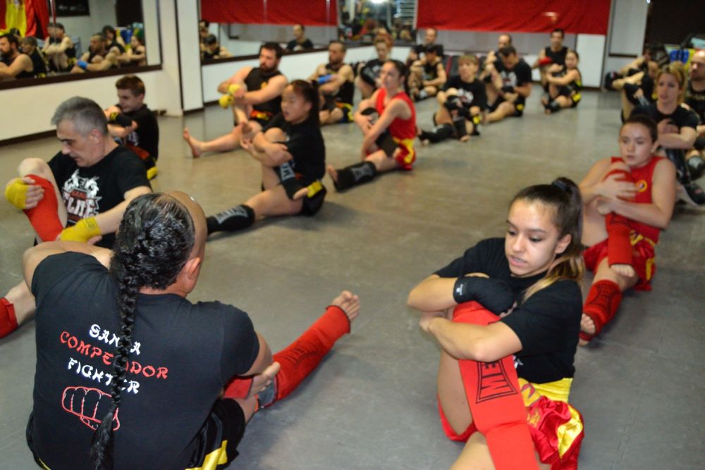 Sanda Azuqueca de Henares KICK BOXING CHINO clases de Boxeo Chino con GrandMaster Senna.