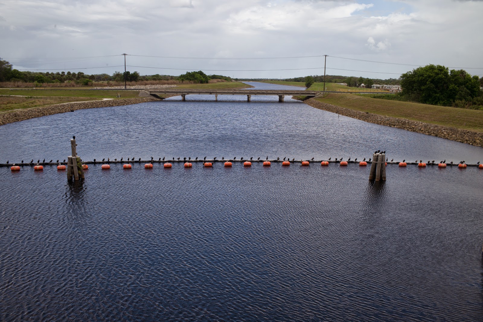 Water Log Lake Okeechobee Part 3