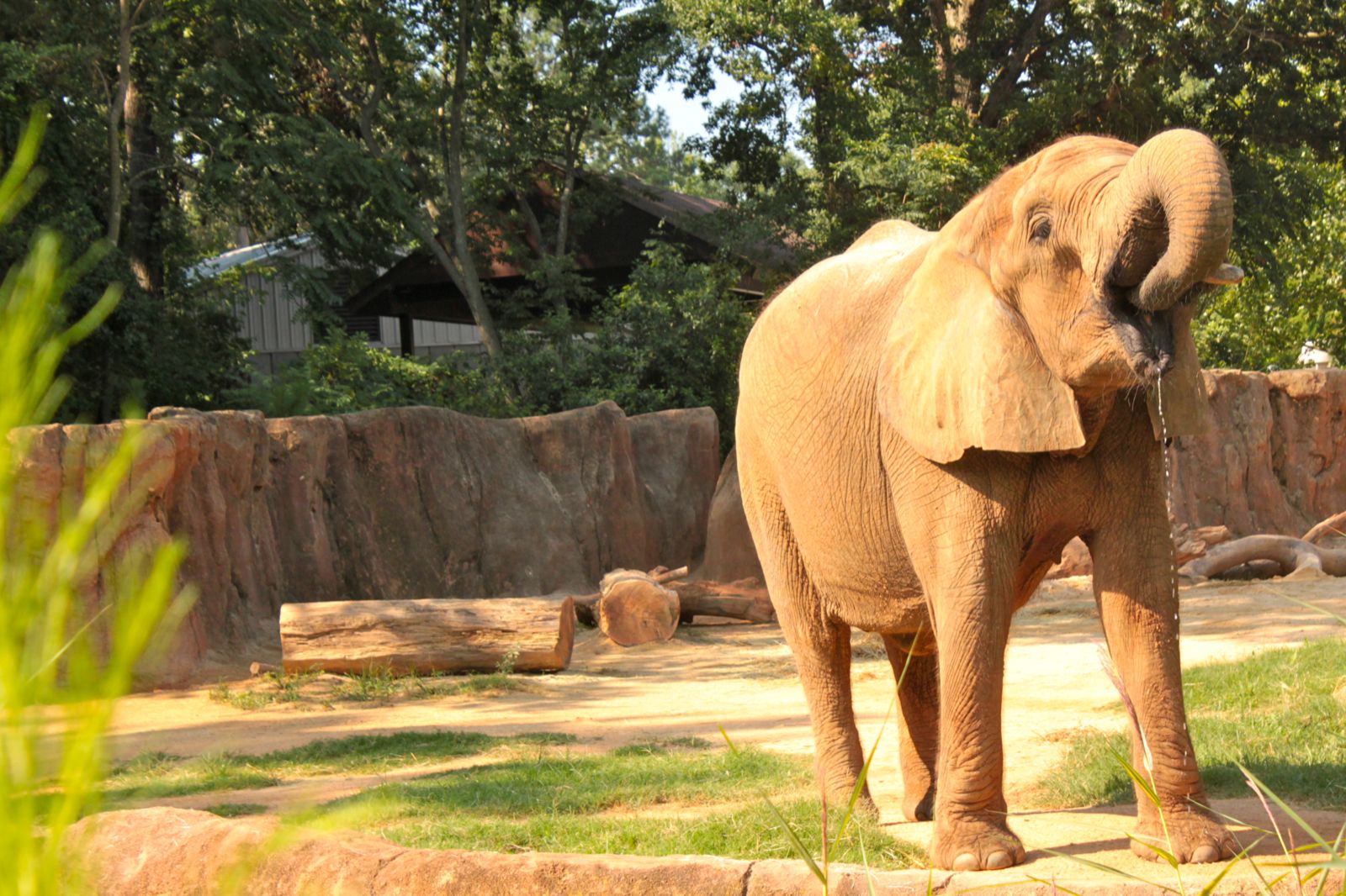 my life in color: riverbanks zoo