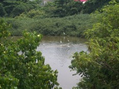 Lagoa de Marapendi
