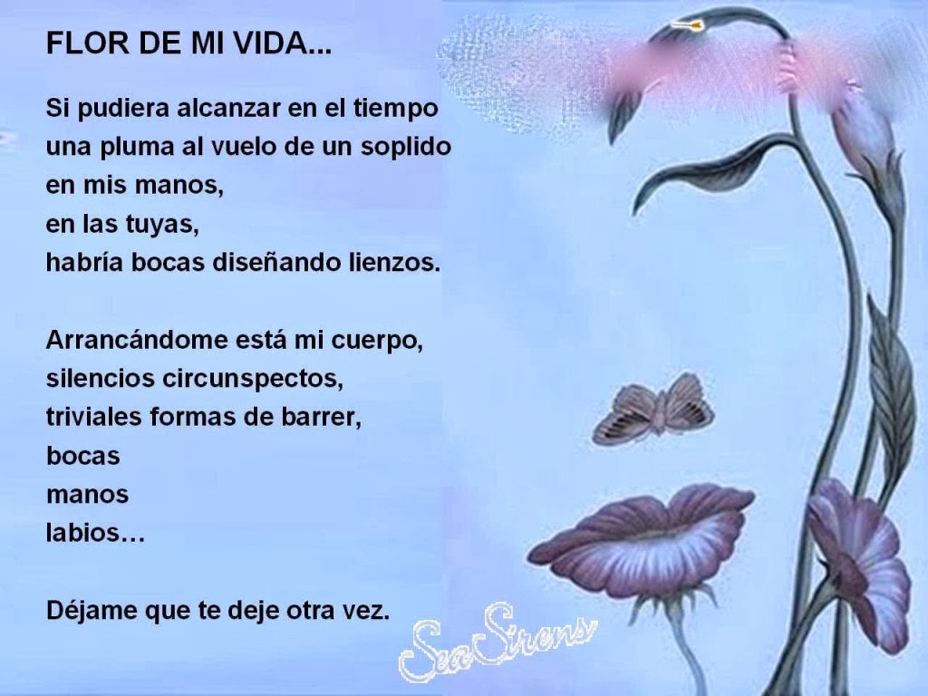 Resultado de imagen de POESIA EN IMAGES 
