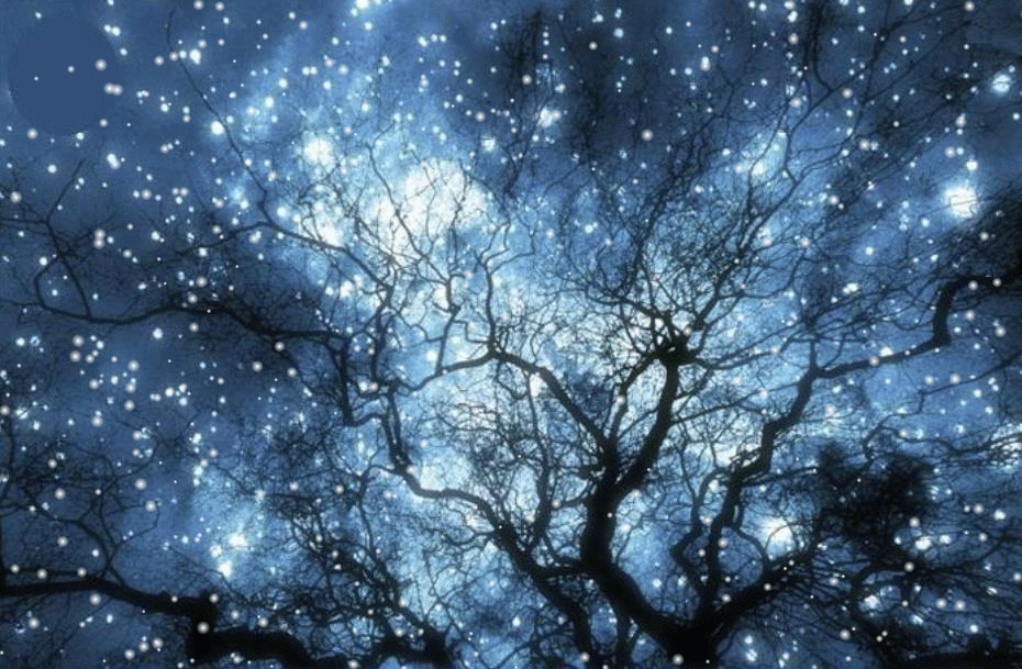 Kada se čovjeku učini da ljepote više nema u ovom haosu.  Ukaže se mjesečina. Zvijezde. Prvi snijeg.