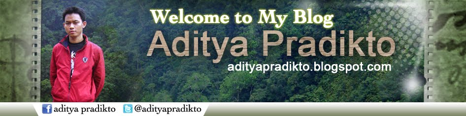 Aditya Pradikto