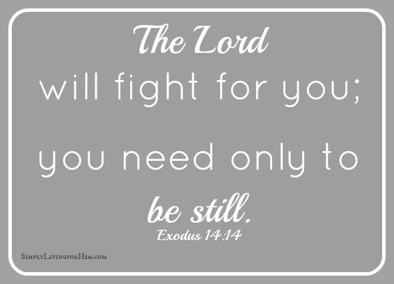 The Lord Will Fight For You You Need Only Be Still Exodus 14 14