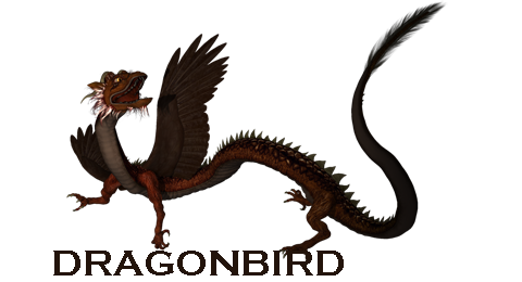 Dragonbird Game Stuff