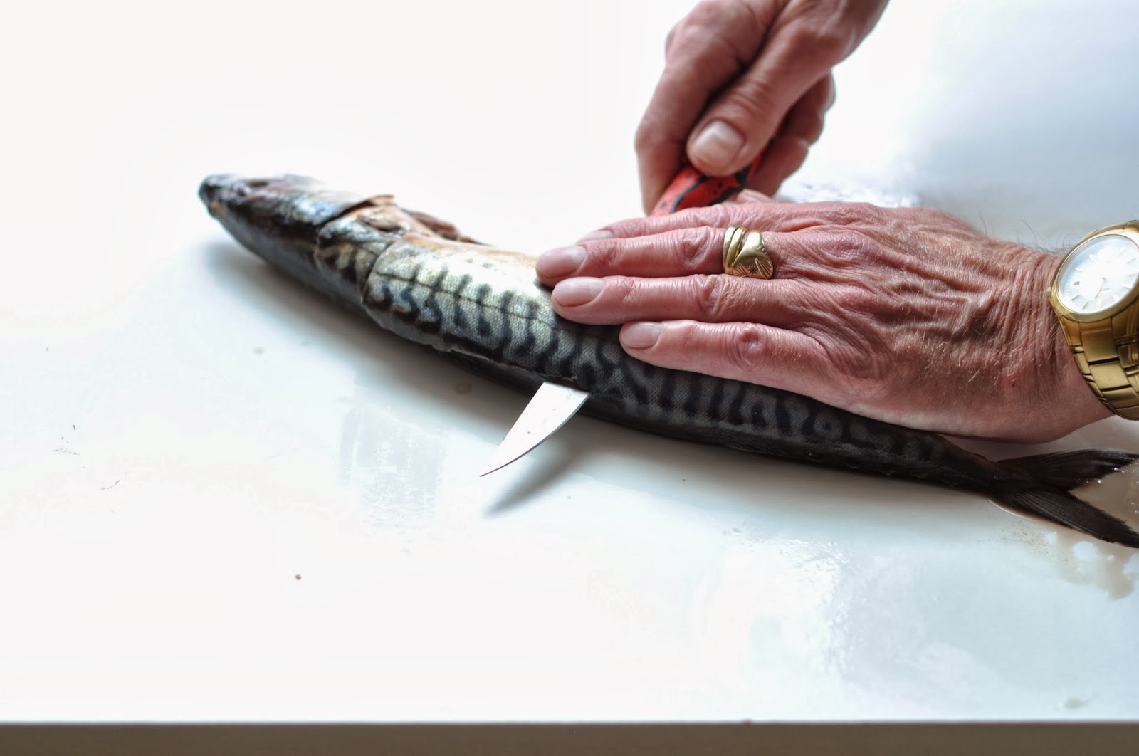 Simple Food Poached Mackerel with Mushroom and Fennel Sauce