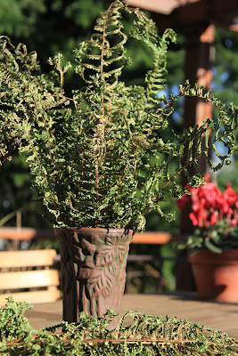 Peters and Reed Moss Aztec Vases - Dryopteris