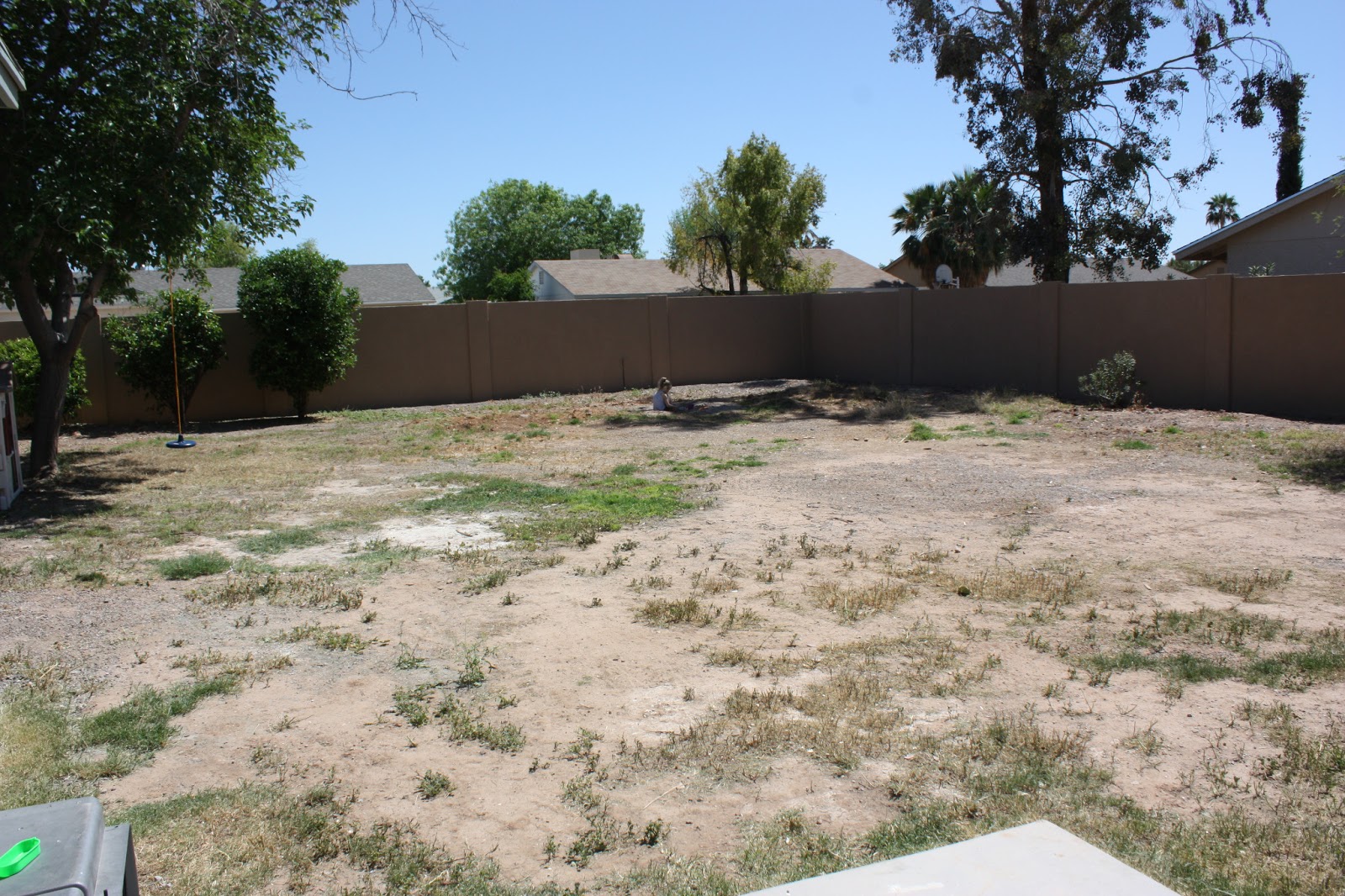 Joy: Backyard - We have grass!