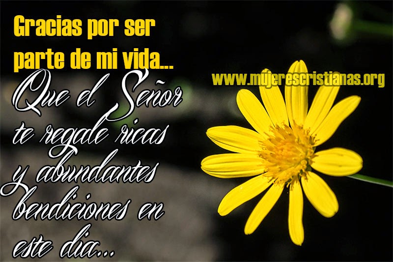 http://4.bp.blogspot.com/-EvkEiYpckJ8/U1hSmMlY7CI/AAAAAAAAP_U/PyKAWT3PFiQ/s1600/Gracias-por-ser-parte-de-mi-vida.jpg