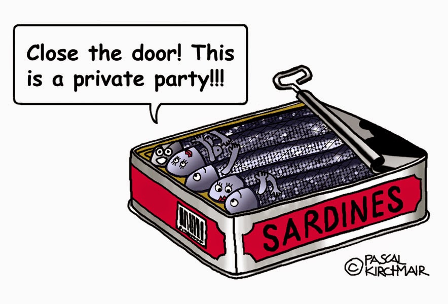 Pascal Kirchmair Sardines