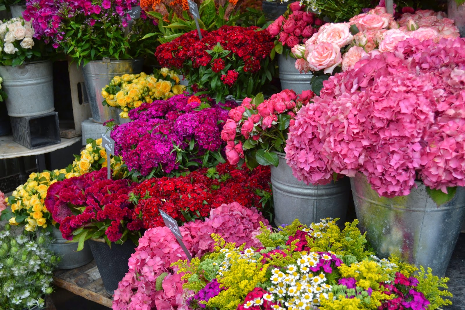 Paris Flower Stores